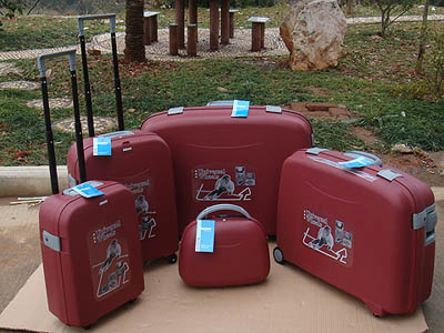 PP Injection Luggage