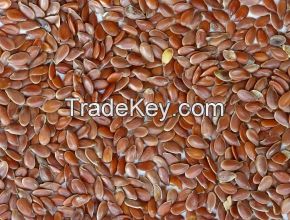 Flaxs Seeds