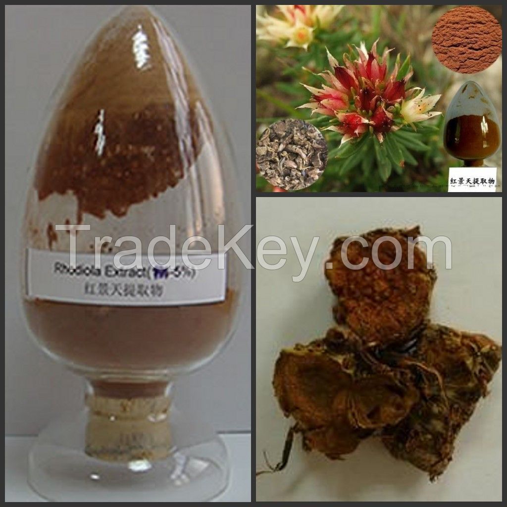 Pure Natural Rhodiola Extract, Rhodiola Rosea Powder Extract