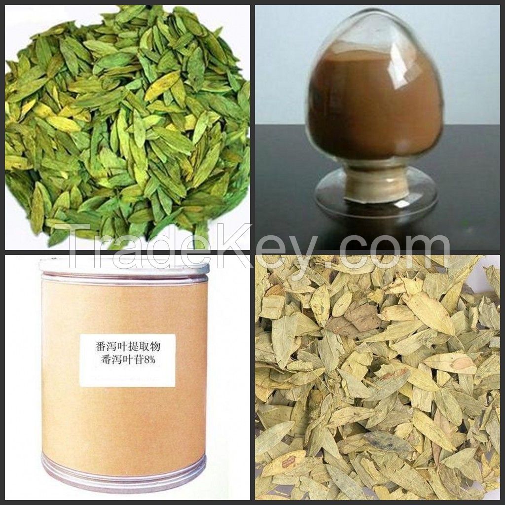 quality natural organic Senna Leaf extract herbal extract powder