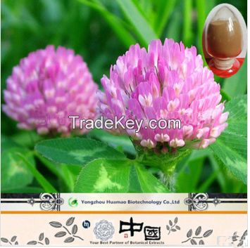 Wholesale top quality Red Clover Extract Isoflavones8%-40% 