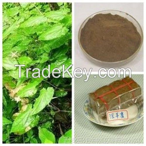 Sex Enhance Product Leaf Powder Epimedium Extract
