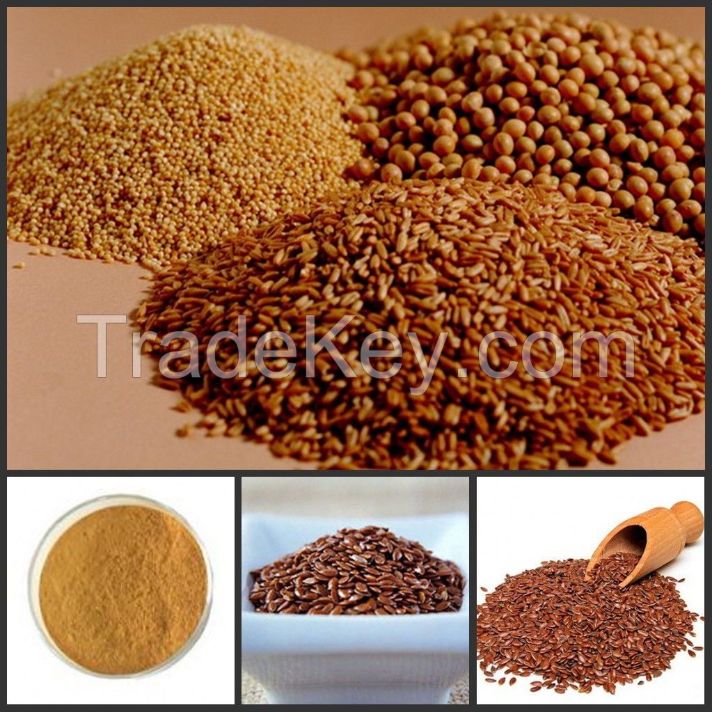 Lignans 80% P.E. Flaxseed Extract