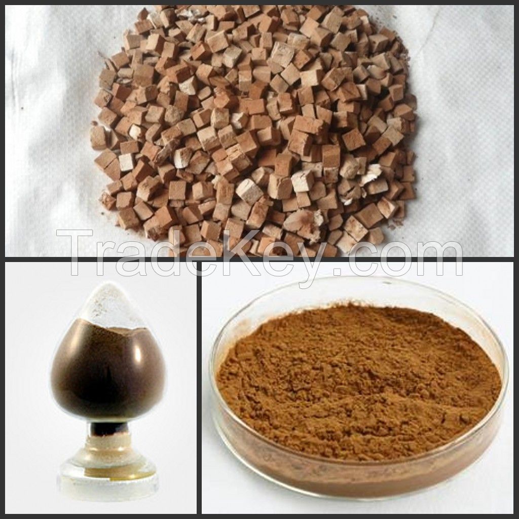Indian Bead Extract powder
