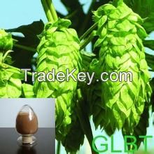 100% natural european hop flower extract 10:1 free samples