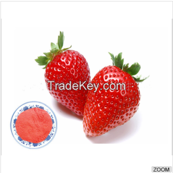 GMP factory supply Hot sale high quality Freeze dried strawberry powder 20:1