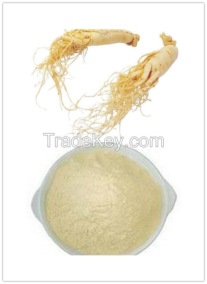 American Ginseng Root Extract 
