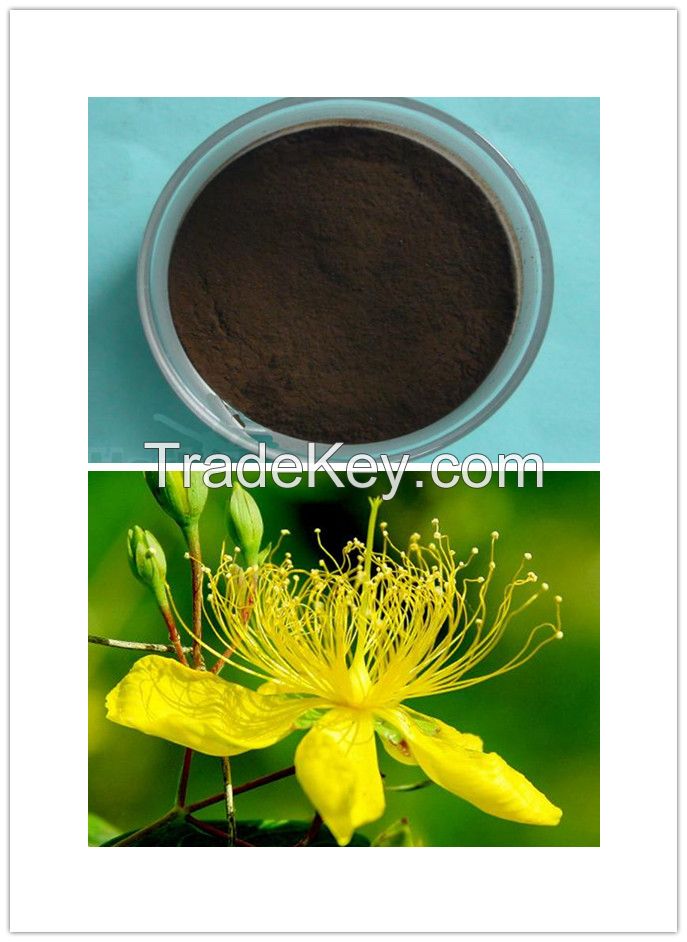 Herbal Medicine Hypericum Perforatum Extract,St.John's Wort Extract,Hypericum perforatum Extract Powder 