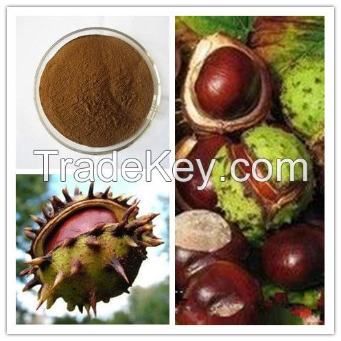  High quality Horse Chestnut Extract(Aescin 20% by HPLC) 