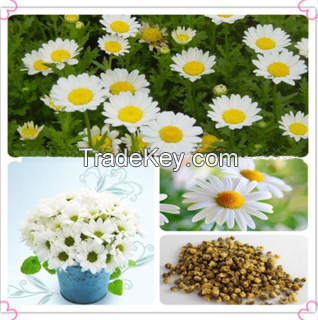 Healthcare Herb Feverfew Extract(Parthenlide)