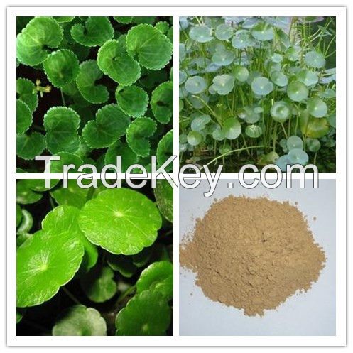 Kava Extract /Kavalactones 30% UV/food addition/Kava Root Powder