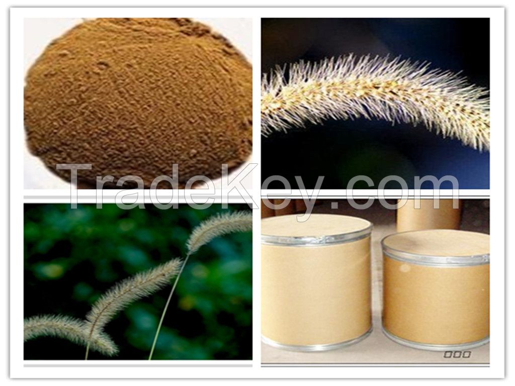 100% High Purity Horsetail Extract Silica 