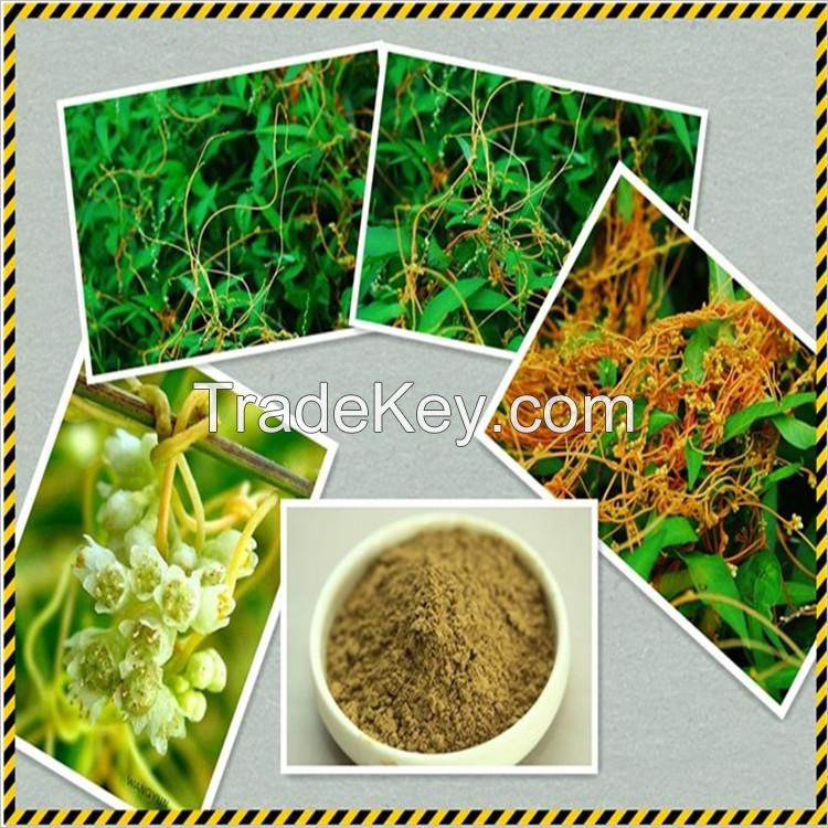 Dodder Seed Extract Powder Dodder Seed P.E