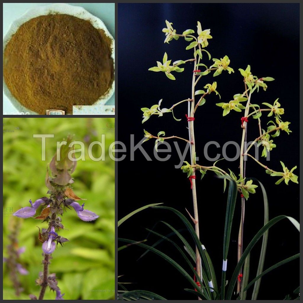 Coleus Forskohlii extract powder 10%,20% Forskolin/ weight-loss powder