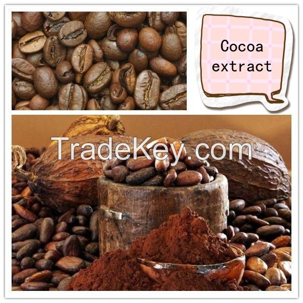 Natural Product Cocoa Extract plant extract powder 