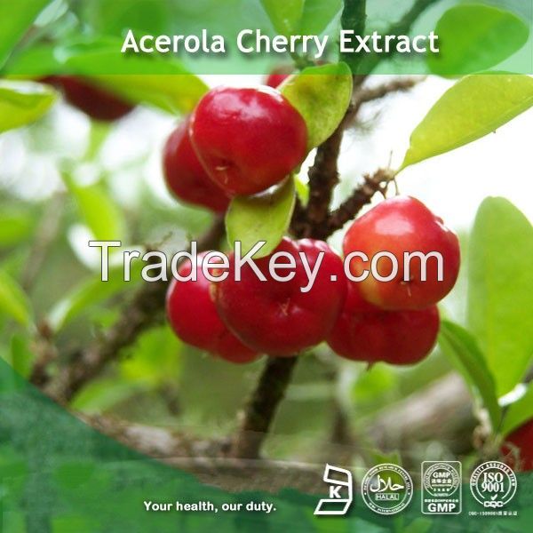 Acerola Cherry Extract 25% Vitamin C For Health Care