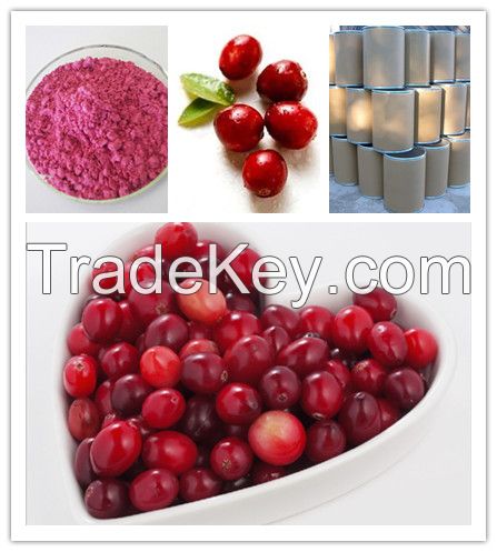 Biggest Supplier Cranberry Fruit Powder  