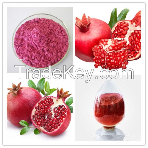 Food & Beverage Fresh Pomegranate Fruit juice powder 
