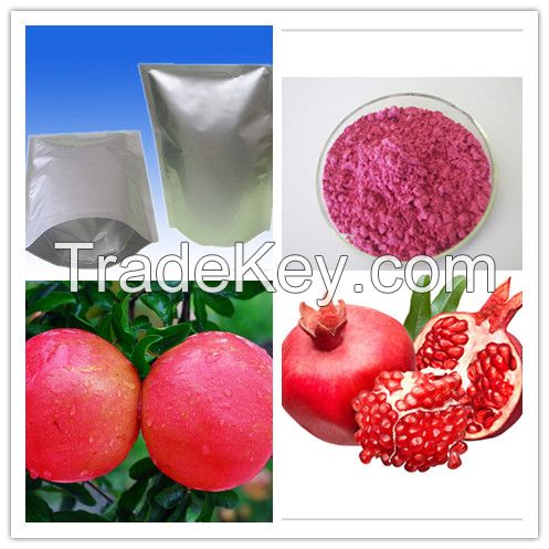 100% Nature Pomegranate Fruit Juice Powder