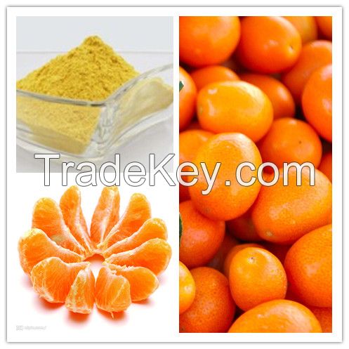 Freeze Dried Fruit Powder - Orange 