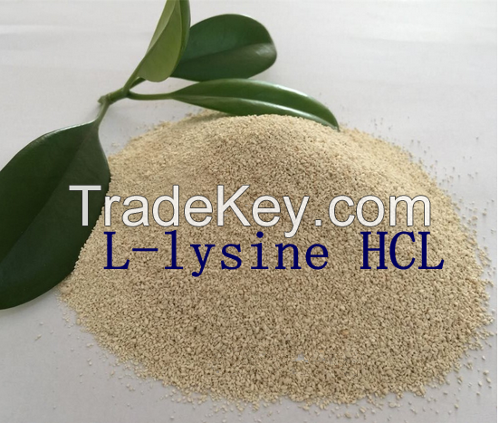 Feed Additve L-Lysine Hcl 98.5% high purity