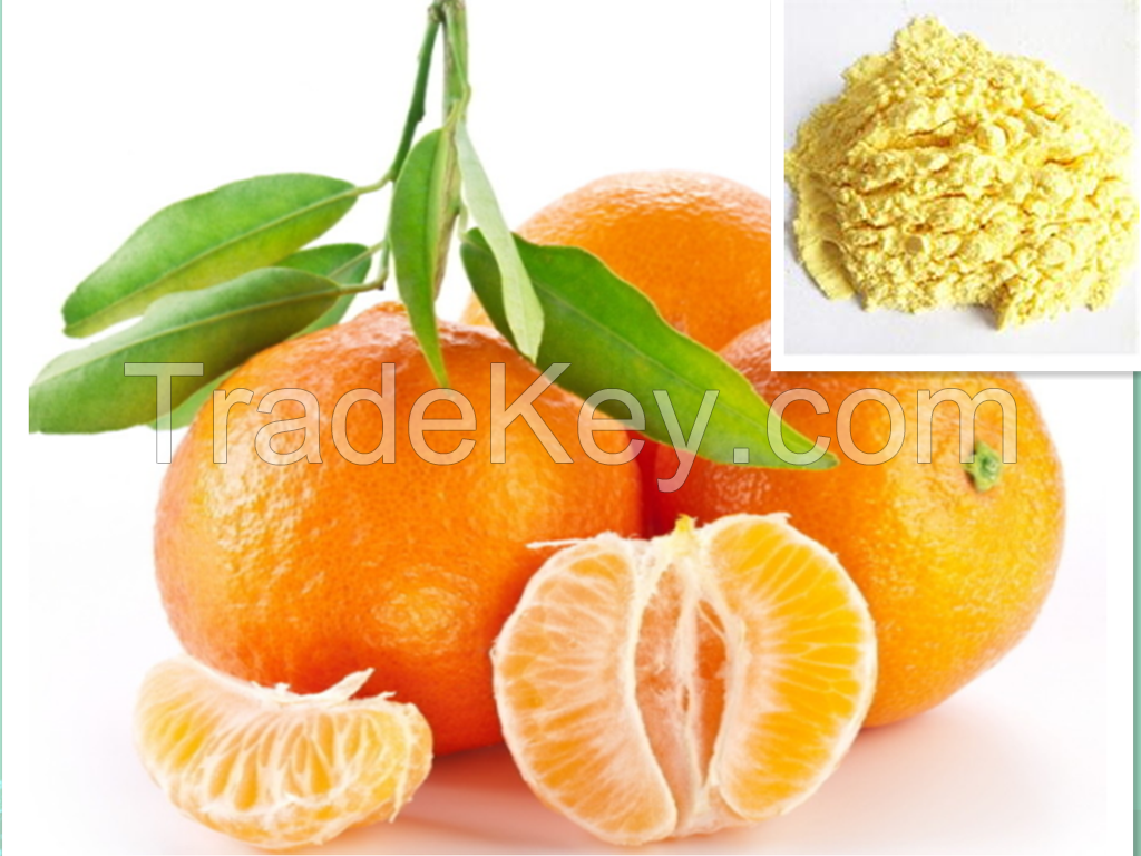 Fruit Juice Powder Orange Juice Powder  