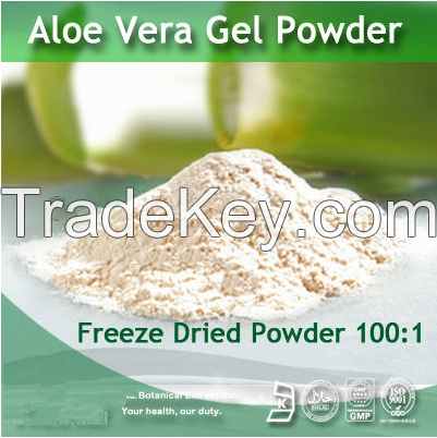 Plant extract Aloe Vera Gel Freeze dried powder 100:1