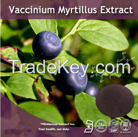 botanical extract,European Bilberry Extract Anthocyanin (Anthocyanidins glycoside)