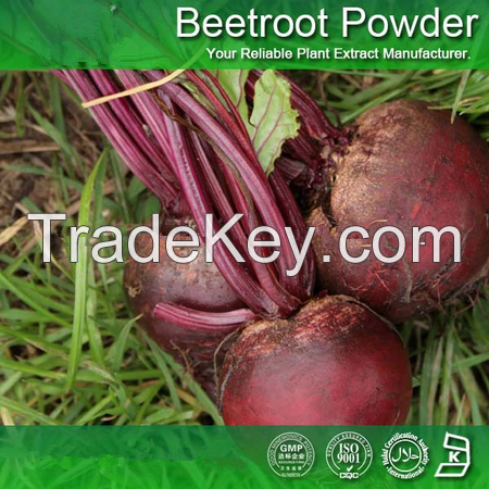 Beet Root Red Color