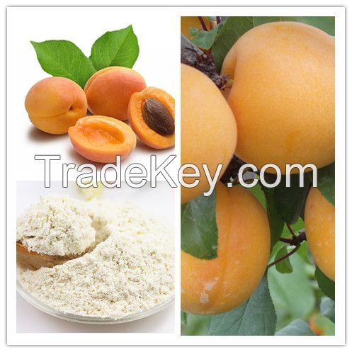 Apricot Juice Powder / 100% natural fruit juice powder 