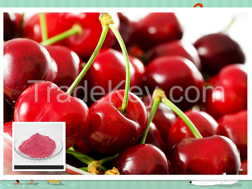 Natural Cherry Powder, Cherry Fruit Powder, Acerola Cherry Juice Powder 