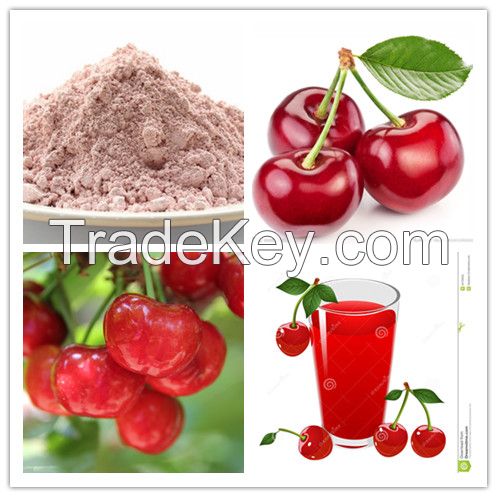 100% Natural Acerola Cherry Fruit Extract Powder 