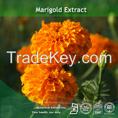 Marigold Extract Zeaxanthin , Zeaxanthin , CAS.No.: 144-68-3