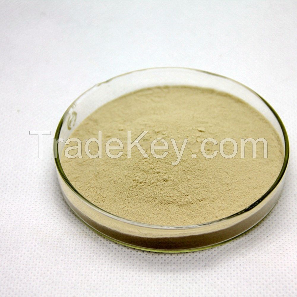 Selling American Ginseng Extract plant herbal extract powder 