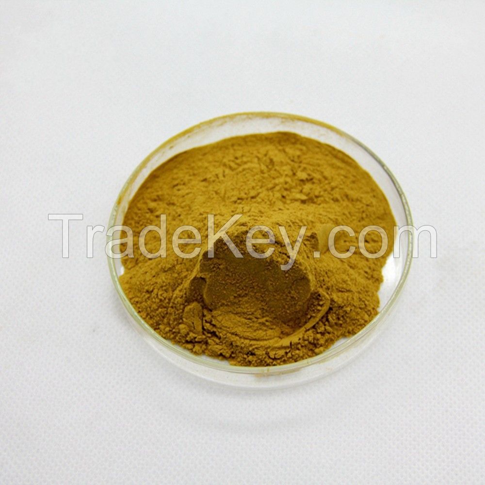 Herbal extract Senna Leaf Extract