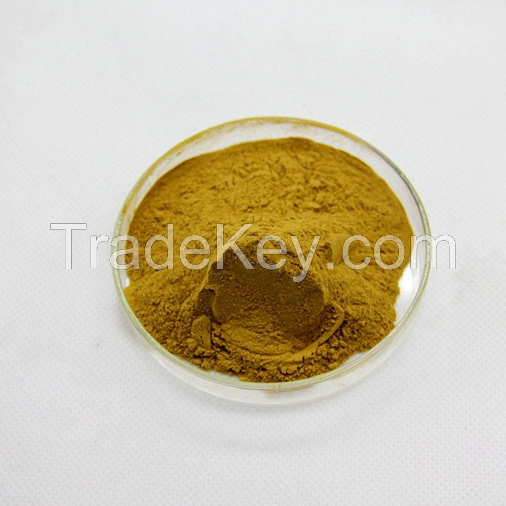 Tribulus Terrestris Extract herbal extract  