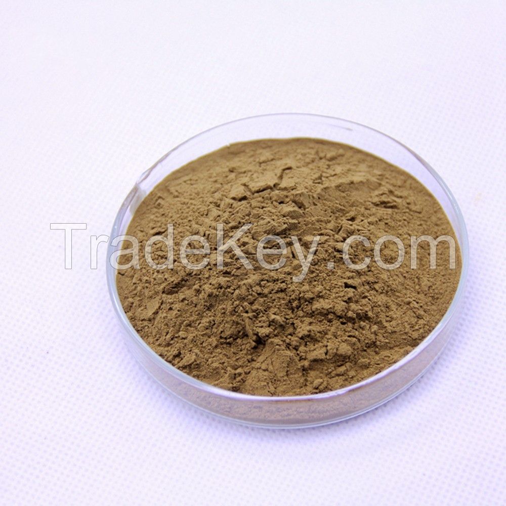 Tribulus Terrestris Extract herbal extract  