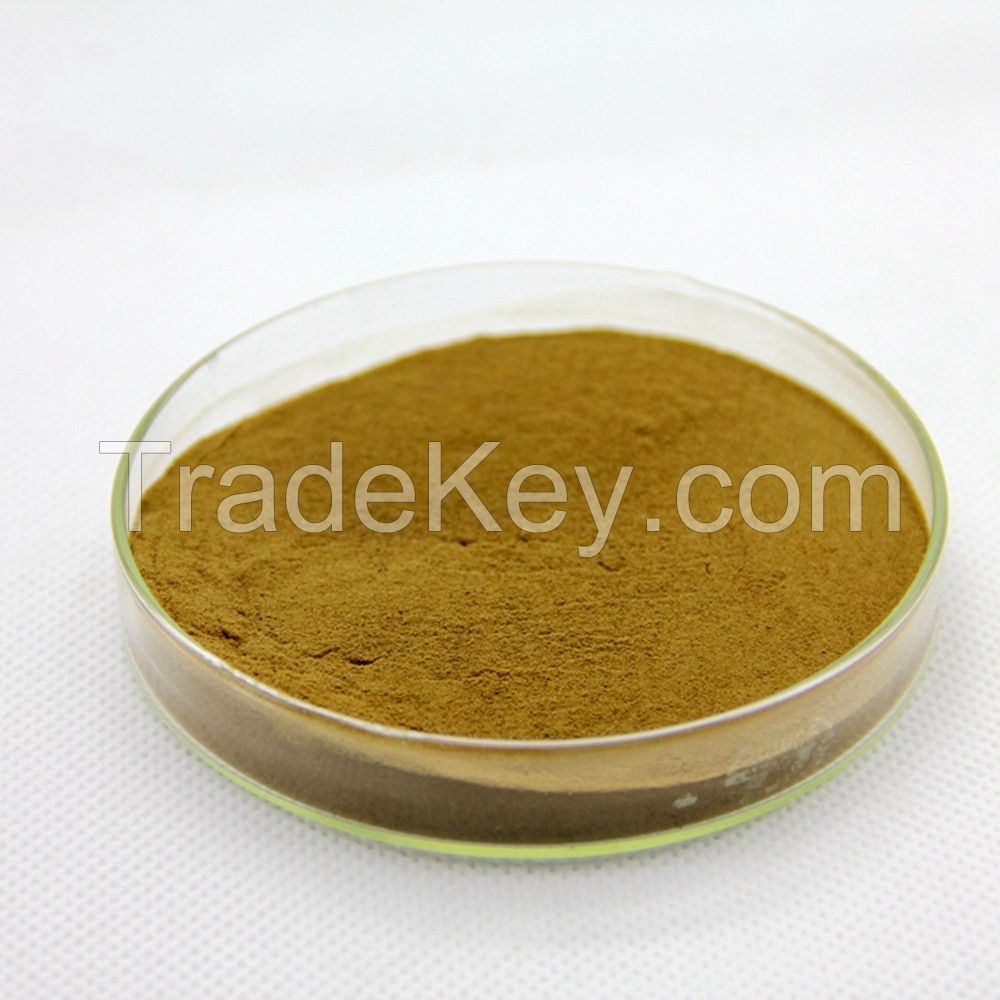 Tribulus Terrestris Extract herbal extract  