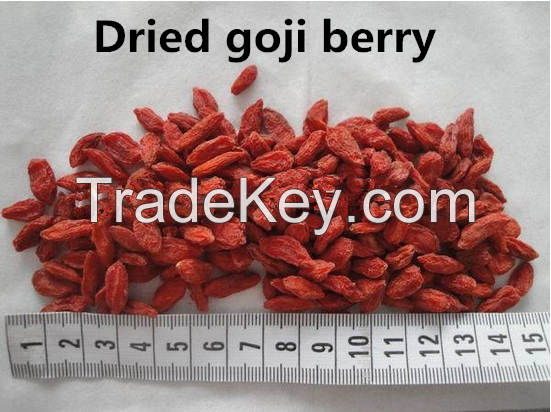 gou qi zi dry herb medicine goji berry