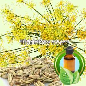 Pure Fennel Essential Oil
