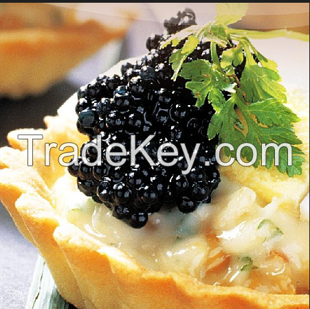 sturgeon and sturgeon caviar