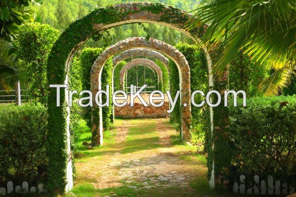 Wallpaper: Pergola Garden, 350 cm x 260 cm