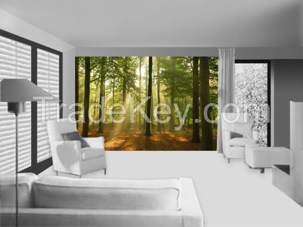 Wall Mural: Forest, Self-adhesive, 272 cm X 198 cm