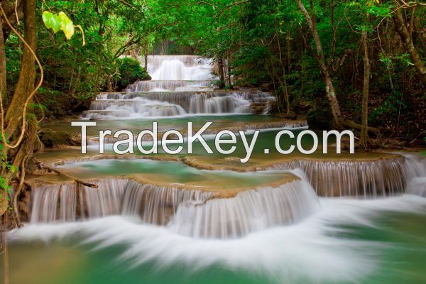 Wallpaper: Deep Forest Waterfall, 350 cm x 260 cm