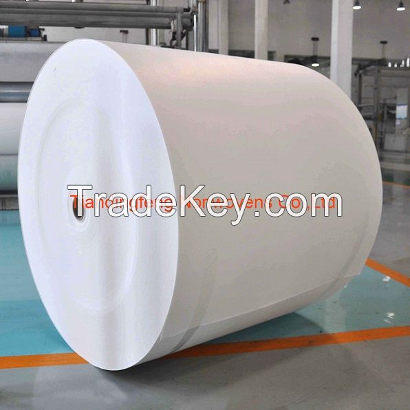 Polyester Spunbond Filament Roofing Membrane Carrier