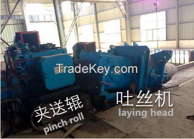 Laying head/wire discharger for the wire rod production line