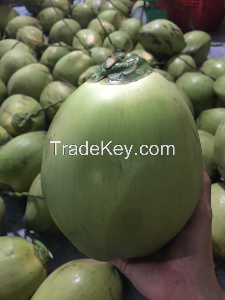Fresh Young Coconut (full shell)