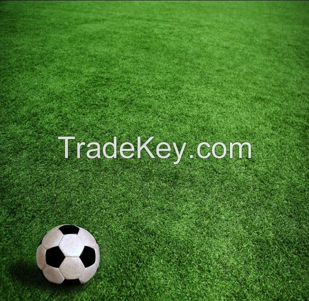 50mm Artificial Grass - AVG