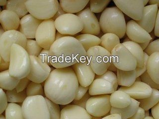 Top quality pure white garlic for sale