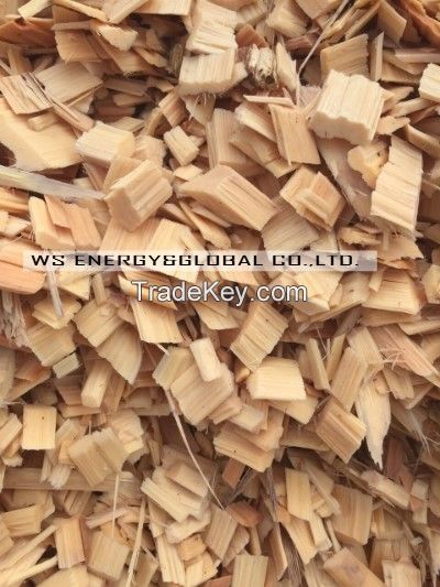 Wood Chip For Pulp / Paper And Fuel / Power Plant